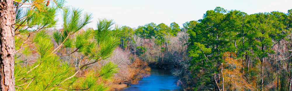 Cliffs of the Neuse State Park